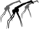 www.acacus.it