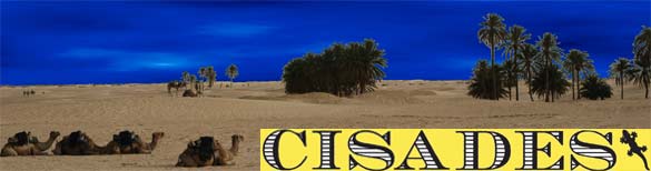 CISADES